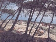 Lussino - pineta